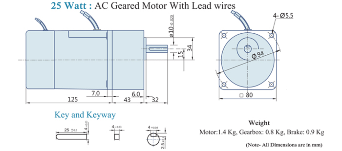 25 Watt : AC Geared Motor With Lead Wire